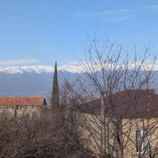 Loria's Cozy House - Telavi - 0