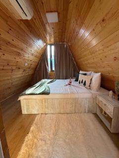 Liniștea Muntilor Cartioasra - 8