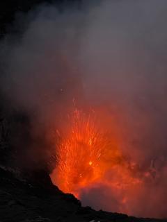 Island Paradise bungalows - 4