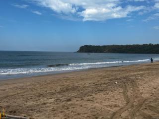 The Coastal Agonda - 1