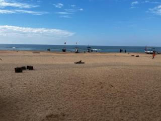 The Coastal Agonda - 2