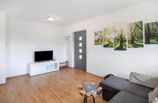 Ferienhof Broger FeWo Obstbäumle mit Pool - 1