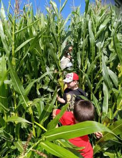 Ferienhof Broger FeWo Obstbäumle mit Pool - 3