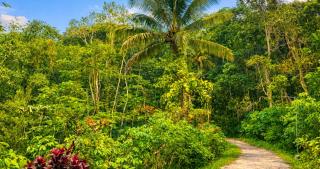 Lonovilla Menoreh Yogyakarta - 6