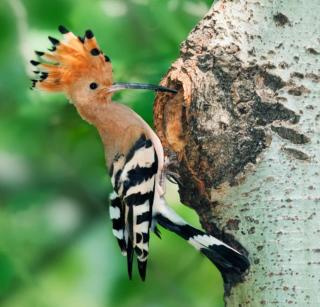 Casa de Santos Bed and Breakfast Solar and Water off grid - 4