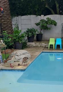 Casa de Santos Bed and Breakfast Solar and Water off grid - 3