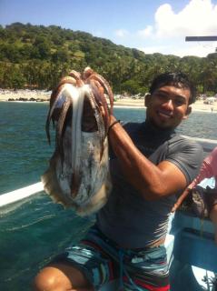 Merta Sari Snorkeling, Spearfishing - 4