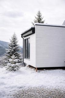 Лісогори - 9