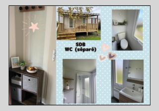 Mobilhome 2 chambres 4-6 pers les charmettes siblu 4 étoiles aux mathes - 6