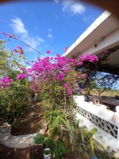 Maison de vacances - 0