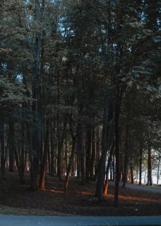 Monte Pacis Hotel In Pažaislis - 6