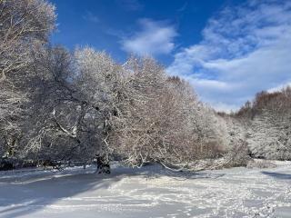 La Pilli a Monte Livata - 9