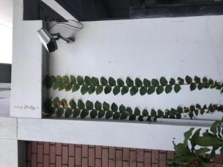 Lai Ming Hotel Cosmoland - Singapur - 6