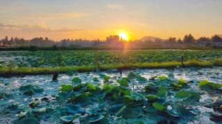 Houseboat Jupiter - 1