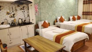 Kathmandu Peace Guesthouse - 6