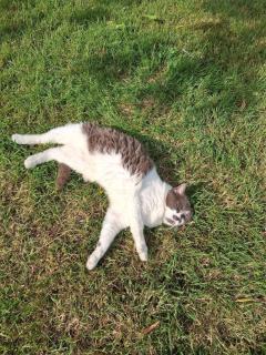 Chez Claire et Olivier - 7