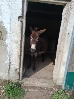 Chez Claire et Olivier - 4