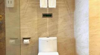 Vienna Hotel Shenzhen Longgang Baifucheng - 5