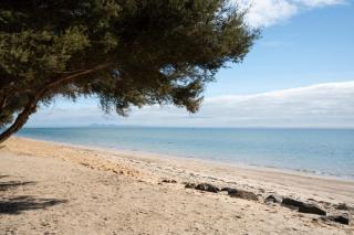 Saltwater Shores - Pet friendly - Sleeps 10 - 7