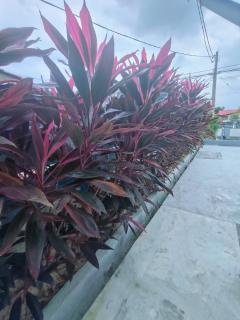 Seri Mersing Villa Roomstay 1 - 1