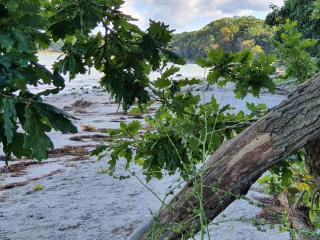 6 person holiday home in Asnæs-By Traum - 8