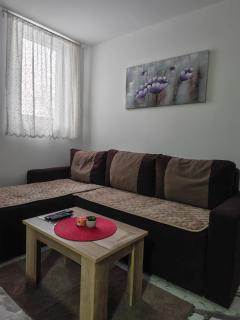 Apartman Ristic Vrnjacka banja - Vrnjačka Banja - 7