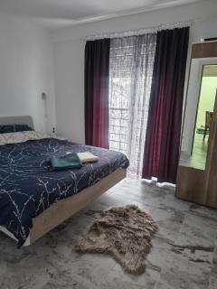 Apartman Ristic Vrnjacka banja - Vrnjačka Banja - 8