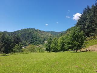 Il Bosco di Campo Marzano Garden Apartments - 8