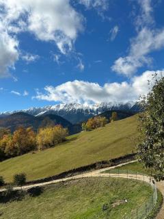 Colnic Tiny House - 1