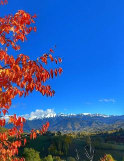 Colnic Tiny House - 6