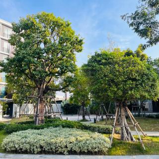 BB HOUSE Rangsit - 1