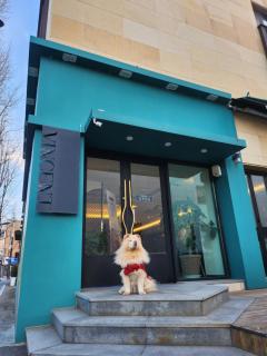 Jeonju Hotel The Vincent - 8