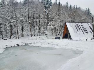 Cabana Vatra Râului - 9