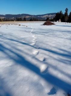 Chatka w Dolinie - 8