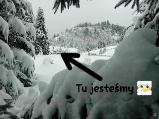 Chatka w Dolinie - 7