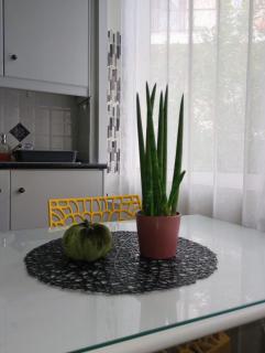 Violet - Nafplio - 7