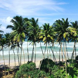 Moon Bridge Beach Resort - 1