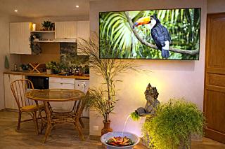 Jungle Spa - Cocon tropical et dépaysant avec balnéo en plein coeur de Pézenas ! - 2