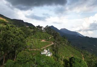 Munnar tea estate stay rooms and individual cottage - 8