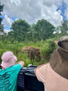 Sigiri Lion Villa - 6