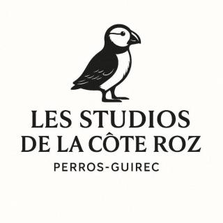 Les Studios de la Côte Roz - Voyageur Solo - Vue Mer - 9