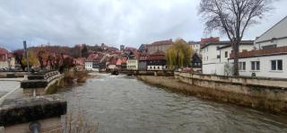 Ferienhaus VILLA ZAUBERBLICK am Rennsteig Frankenwald FREISTEHEND naturnah HUNDEFREUNDLICH eingezäunt - 5