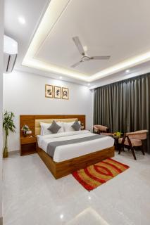HOTEL SR LUXURY Palace Hotel 5 min from Delhi IGI Airport - 5