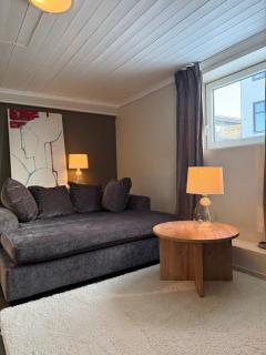 Koselig hybel med egen inngang i Porsgrunn sentrum - 0