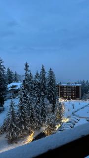 Appartement 4.5 pièces Crans-Montana - 3