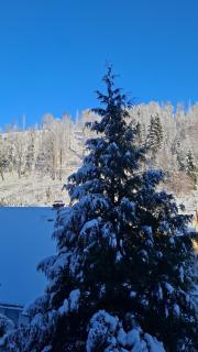 Monteur- und Ferienwohnung Waldrauschen - 8