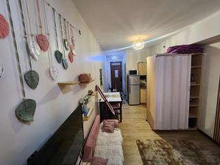 Condotel Near NAIA - massage chair footspa, dance revo, small pet allowed - 9