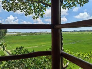 lake paradise cabana - 4