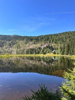 Lindners Hideaways - Gutshof Pine Retreat - Sauna - In Villa - Terrasse - Garten mit Rehgehege - Frühstück verfügbar - SKI - Arber - Osser - bis 5 Pers - 1