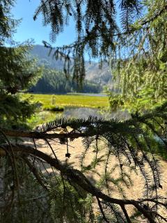 Lindners Hideaways - Gutshof Pine Retreat - Sauna - In Villa - Terrasse - Garten mit Rehgehege - Frühstück verfügbar - SKI - Arber - Osser - bis 5 Pers - 2